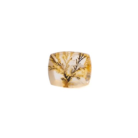 デンドリチッククォーツ ブラジル産 3.92ct [250330088]11x9.2mm前後