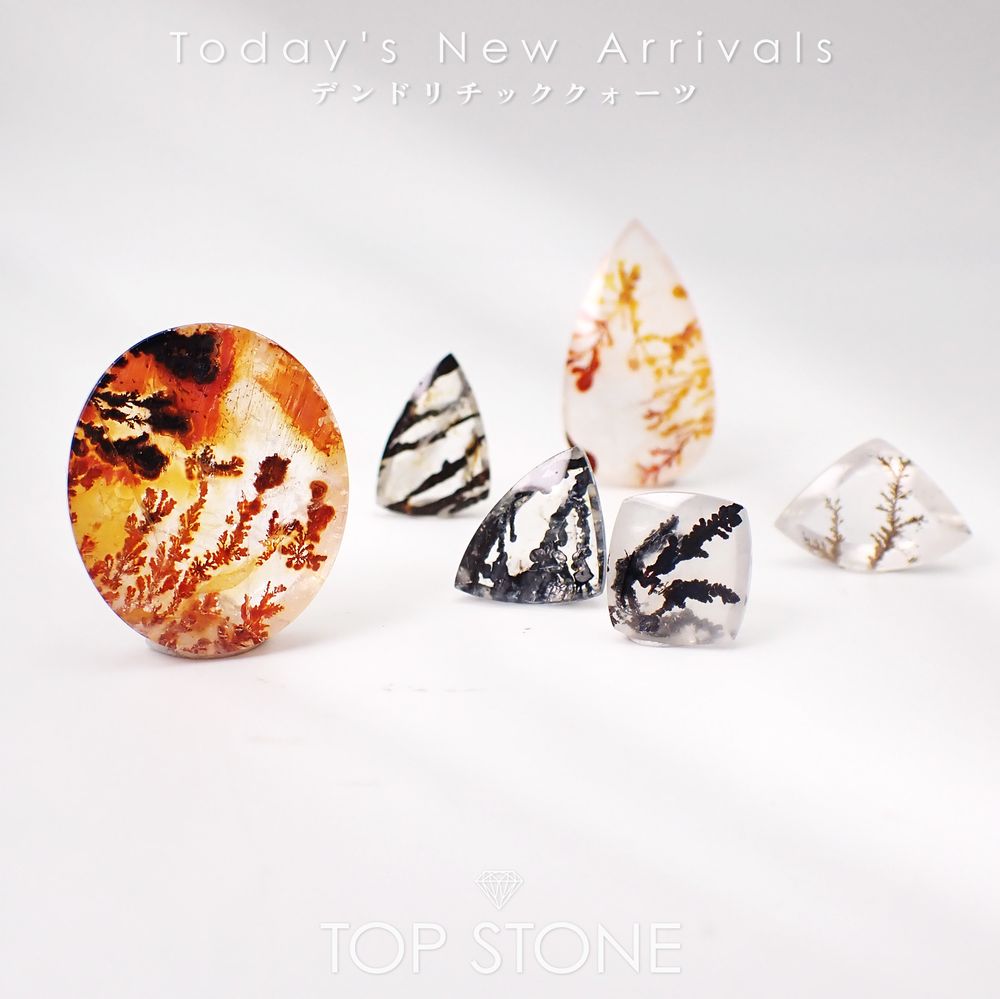 ’26 2月11日（水）新着 | デンドリチッククォーツ