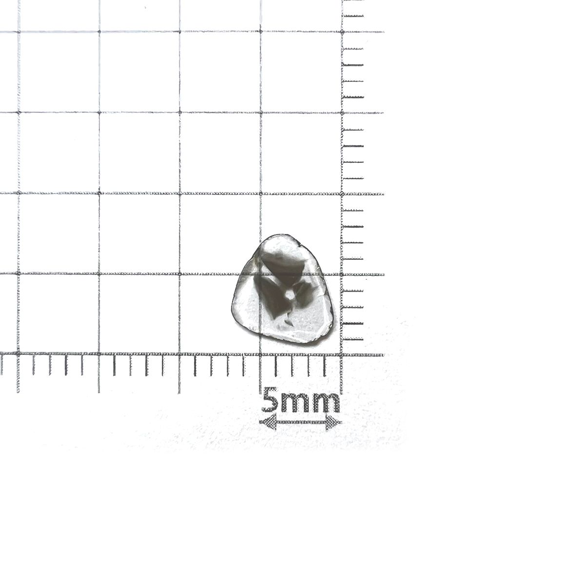 157553813.jpg?cmsp_timestamp=