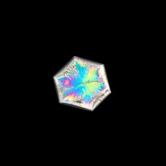 トラピッチェクォーツ 偏光板2枚付き コロンビア・ボヤカ産 24.30ct[230321110]24.1x22.3mm前後