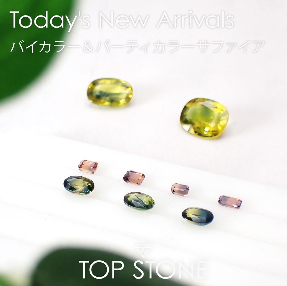 ’24 12月9日（月） 新着 | バイカラー＆パーティカラーサファイア