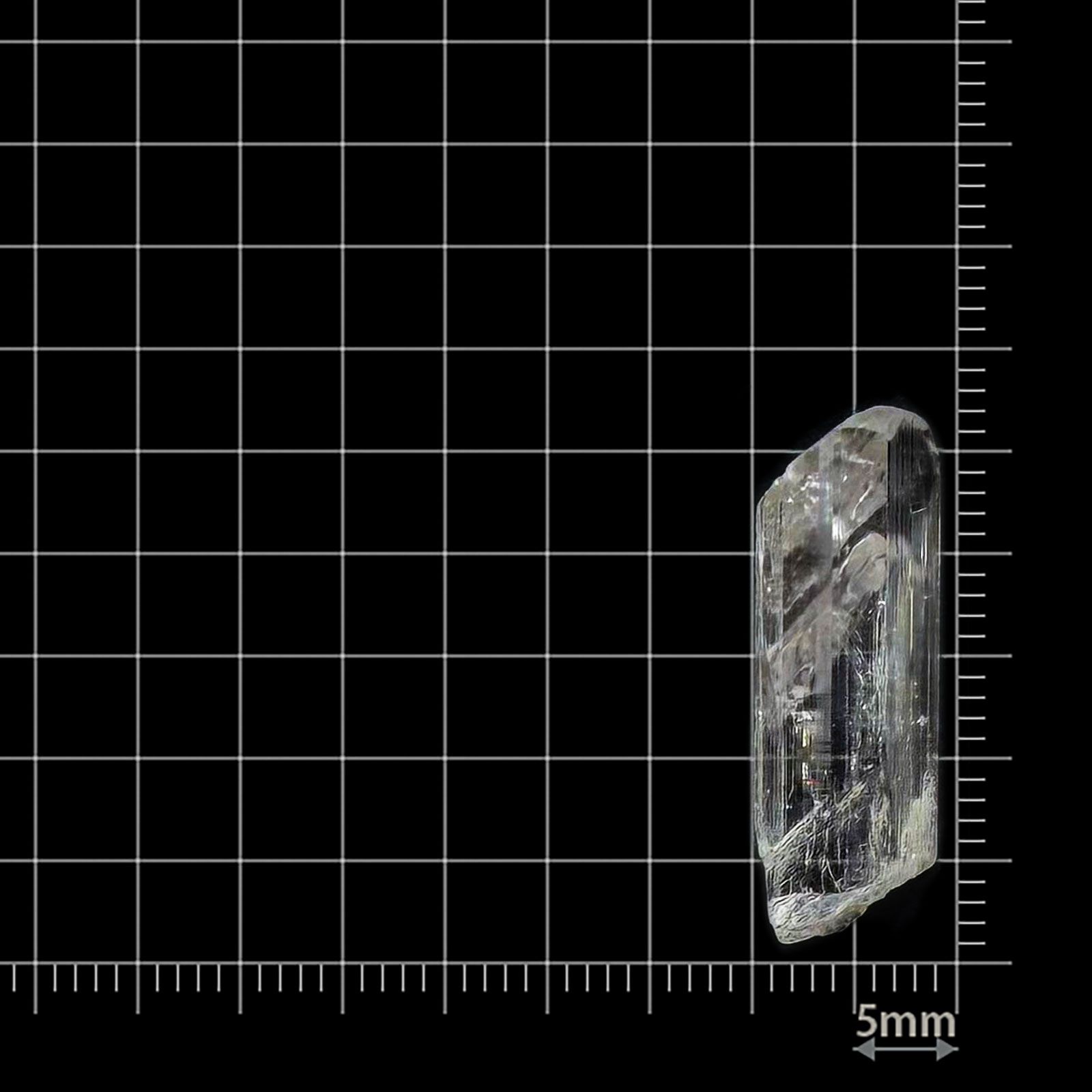 ダンビュライト原石 メキシコ産 12.27ct / 25.5x6.9mm前後 [260532164]