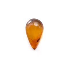 虫入り琥珀 コロンビア産 12.02ct [221018555]28.9x16.6mm前後