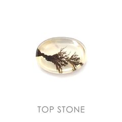 デンドリチッククォーツ ブラジル産 ルース 6.62ct[20084951]14.1×10.1mm前後