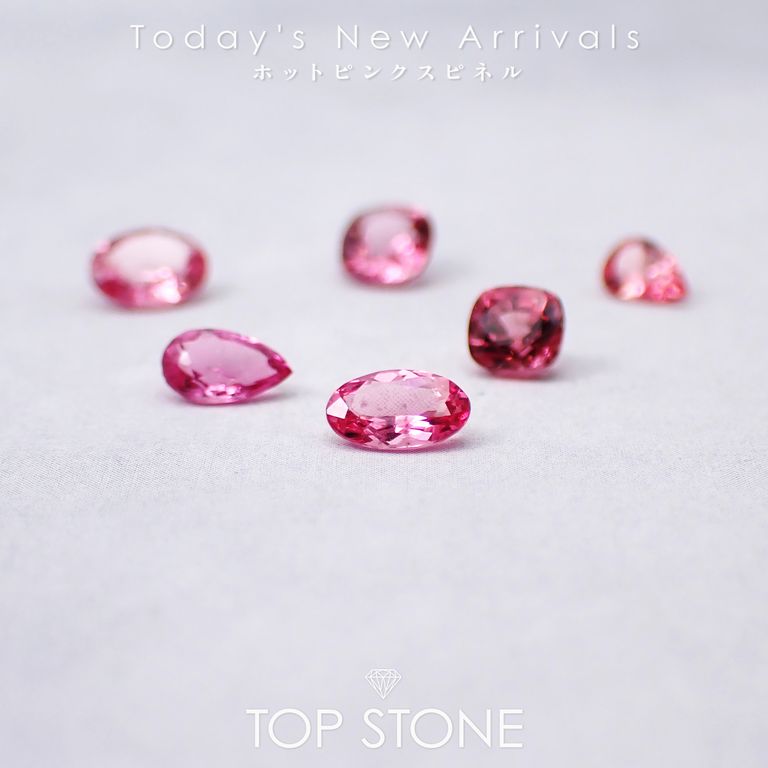 ’25 12月26日（金）新着 | ホットピンクスピネル
