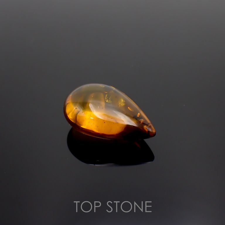 虫入り琥珀 コロンビア産 21.07ct[221018553]31.9x20.8mm前後 | TOP 