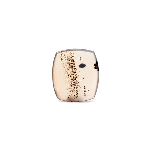 モンタナアゲート アメリカ・モンタナ州産 7.60ct / 19.5x16.8mm前後 [260832764]
