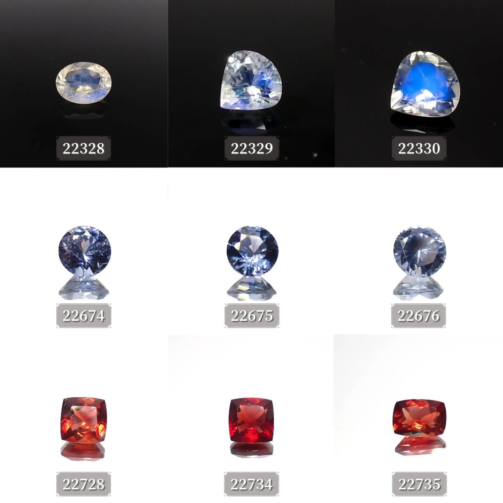 ’23 8月21日(月)新着9アイテム