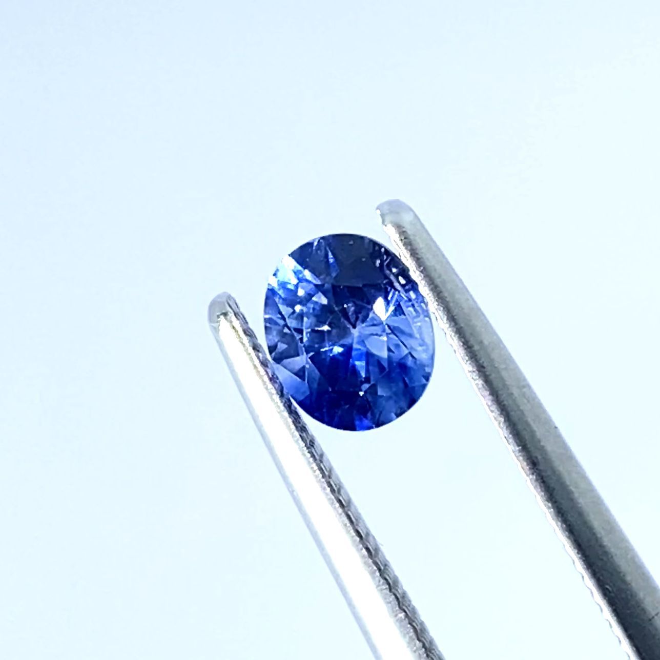 317.7ct レアなスリランカ産サファイア原石 - fawema.org