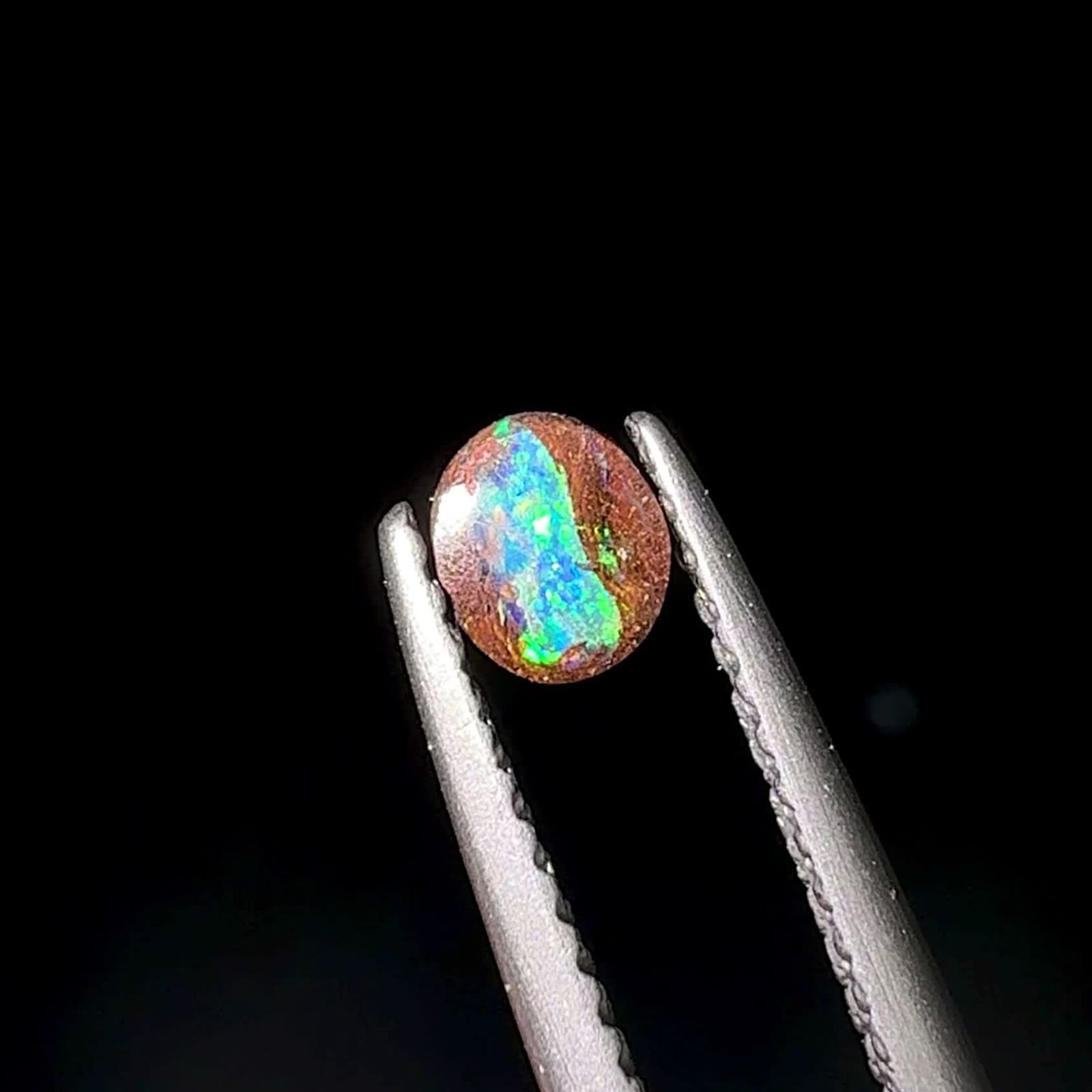 ウッドオパール オーストラリア産 0.15ct / 4.1x3.6mm前後 [251131298