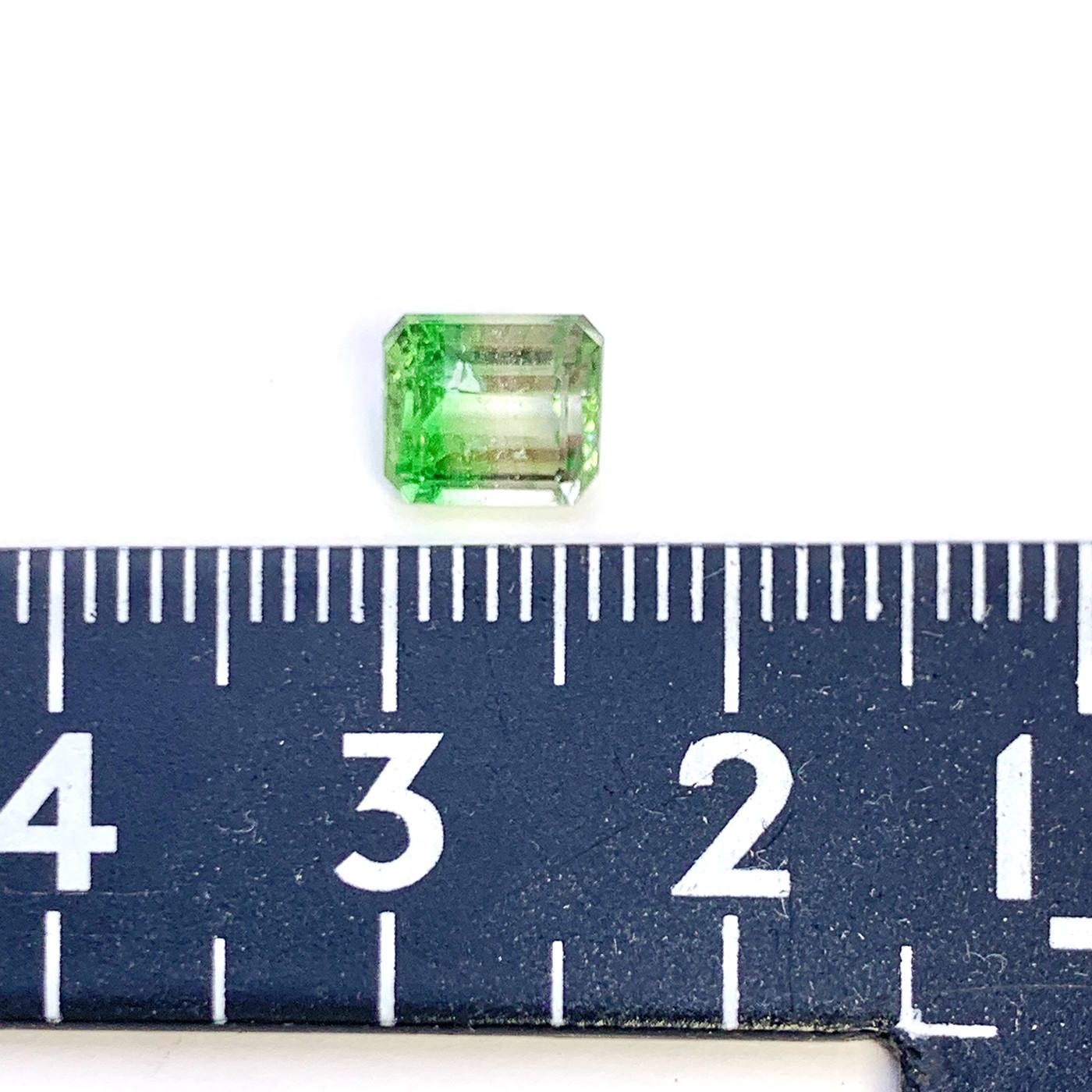 バイカラー ツァボライト タンザニア産 ルース 1.55ct[19111593]6.3×5.5mm前後