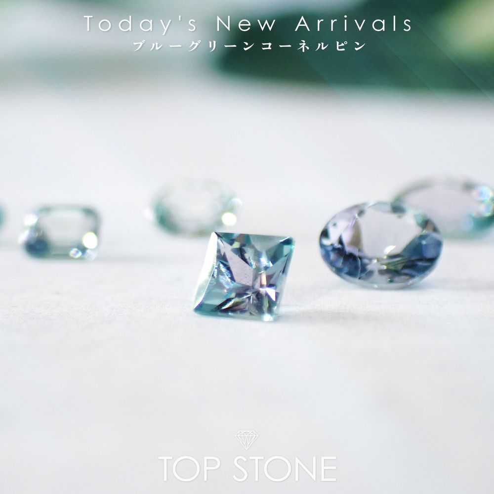 ’25 11月2日（日）新着 | ブルーグリーンコーネルピン