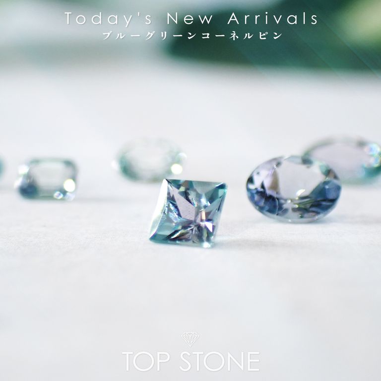 ’25 11月2日（日）新着 | ブルーグリーンコーネルピン