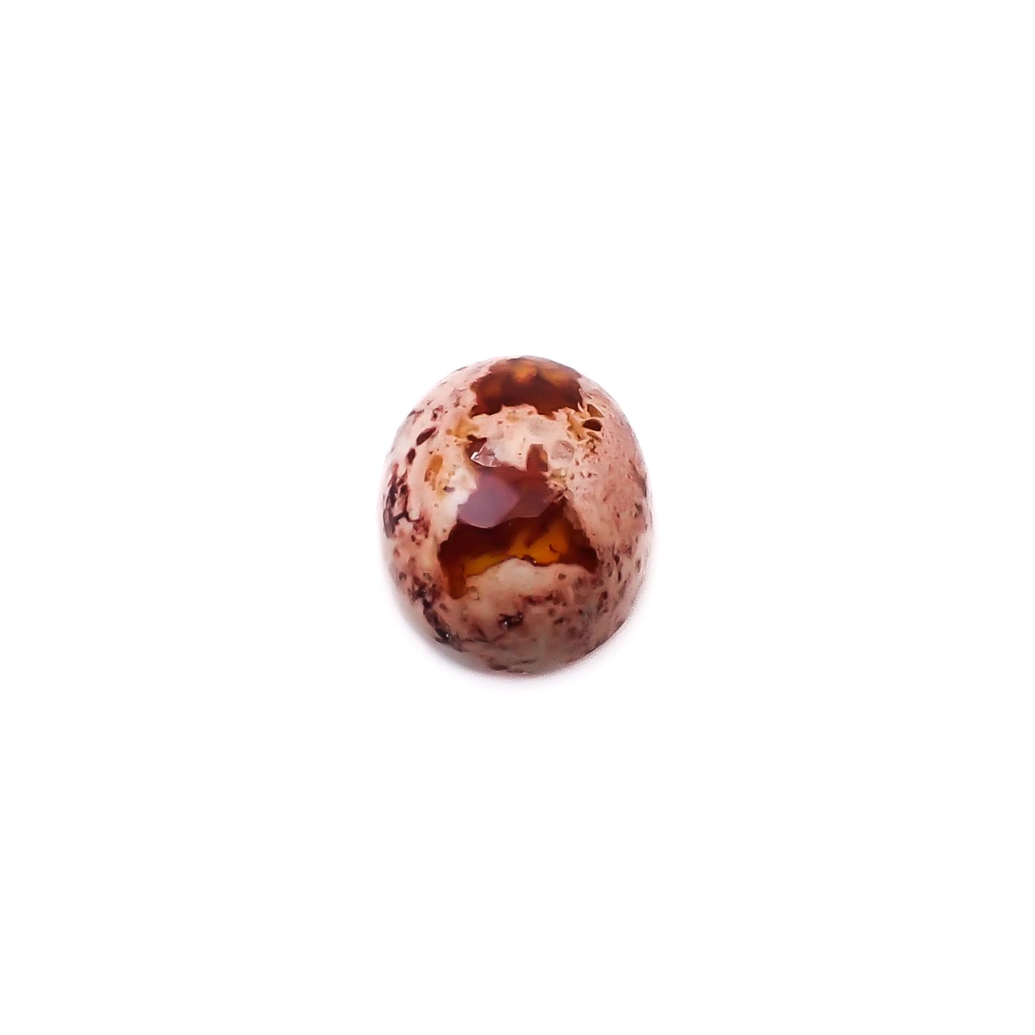 カンテラオパール メキシコ産 3.24ct / 11.5x9.5mm前後 [260933082]