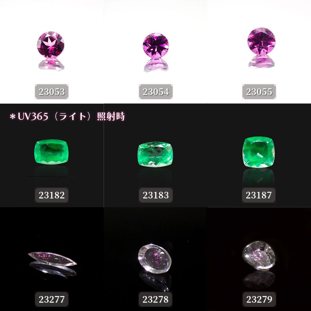 ’23 10月8日（日）新着9アイテム