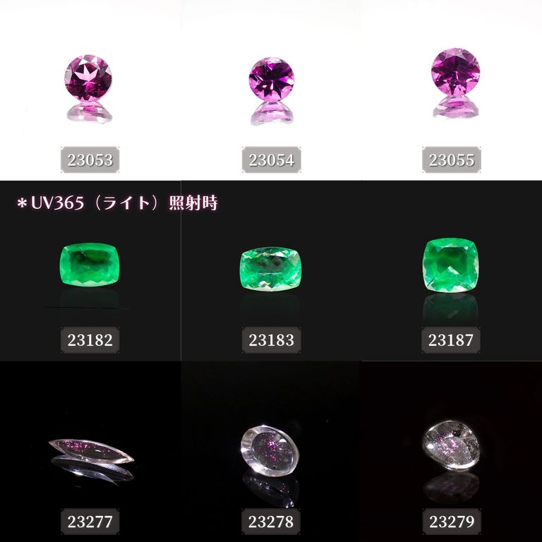 ’23 10月8日（日）新着9アイテム