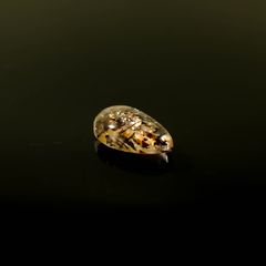 レインボーラティスサンストーン オーストラリア産 2.00ct[231225238]10.9x6.7mm前後
