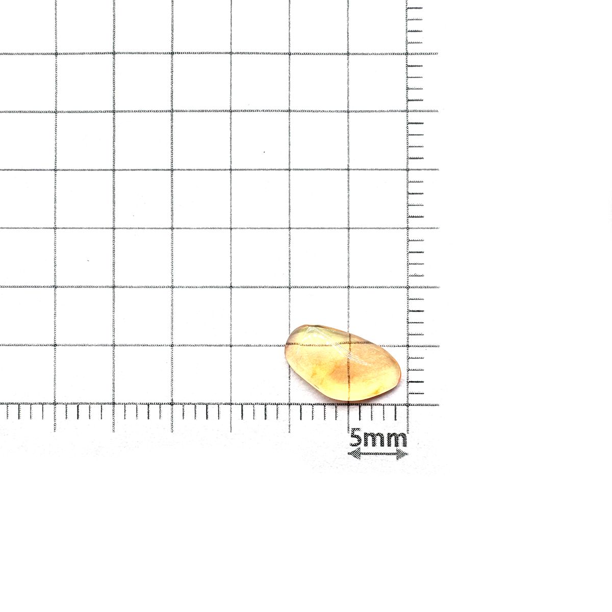 ファイヤーオパール 原石 メキシコ産 0.56ct [240125272]10x5.6mm前後