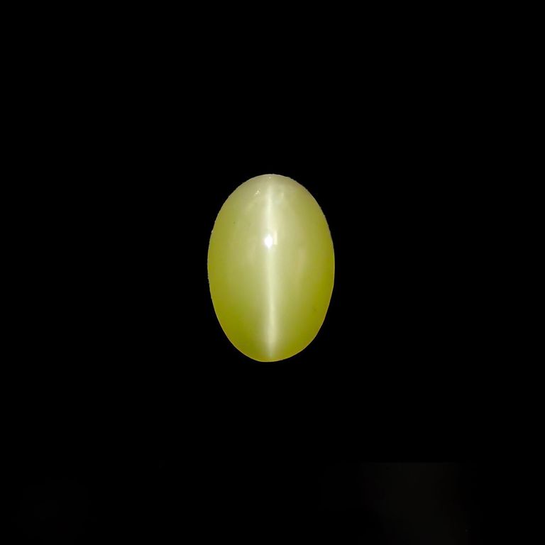 強ライトを当てて撮影