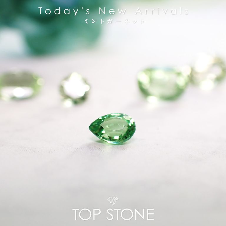 ’26 3月9日（月）新着 | ミントガーネット