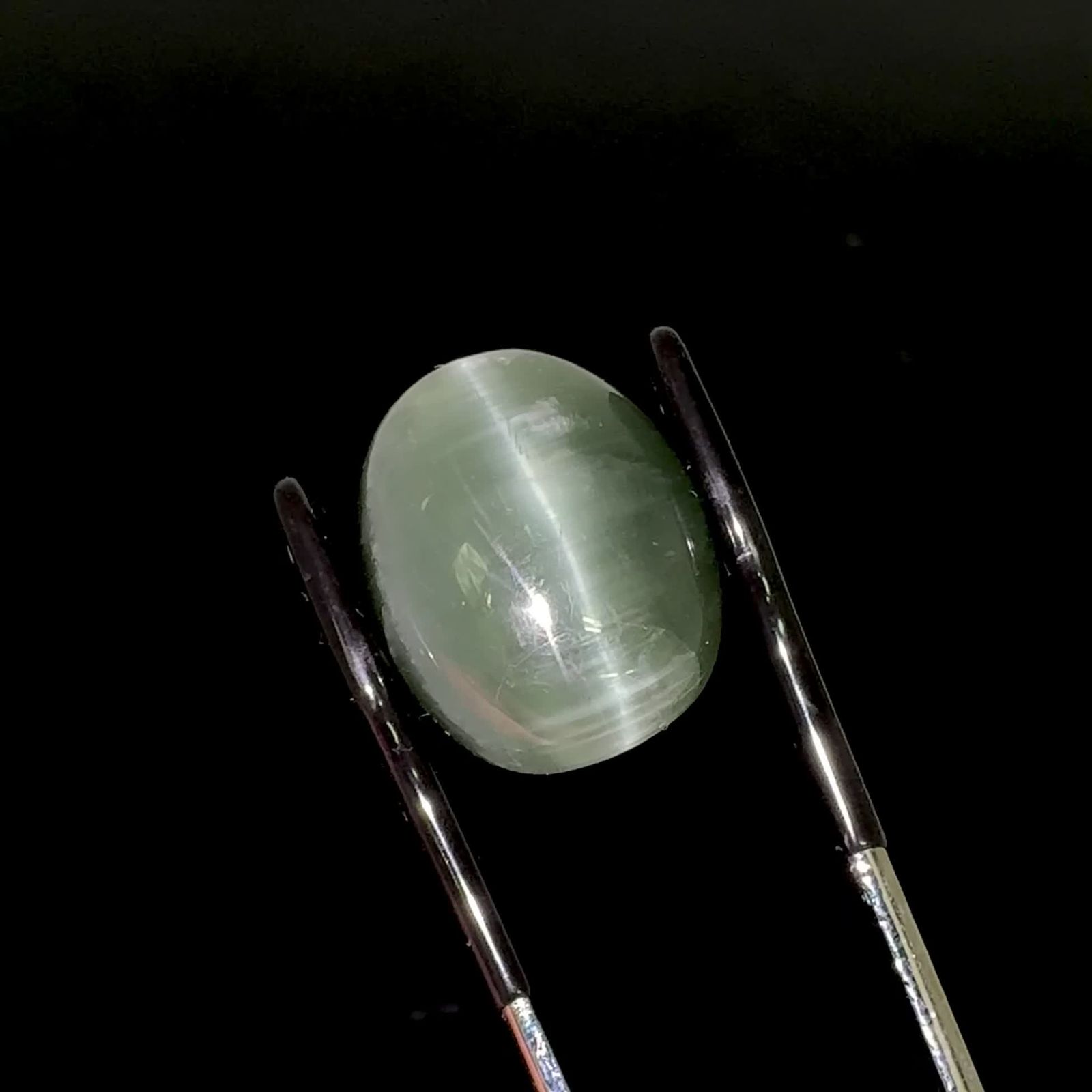 グリーンアパタイトキャッツアイ ブラジル産 22.74ct / 18.7x15.3mm