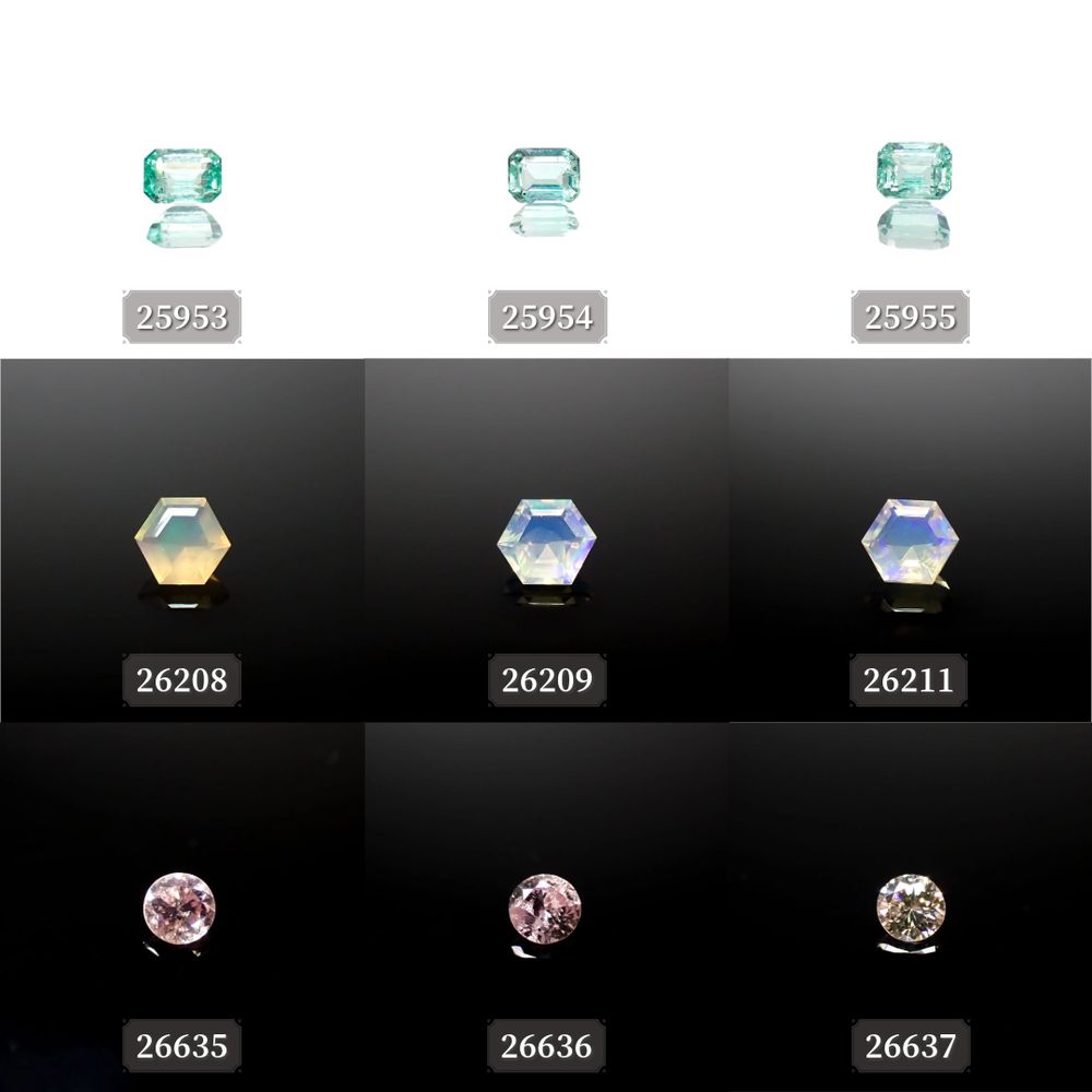 ’24 4月12日(金)新着18アイテム