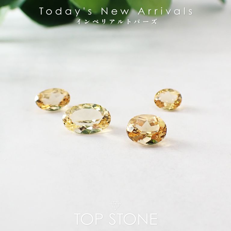 ’25 11月1日（土）新着 | インペリアルトパーズ