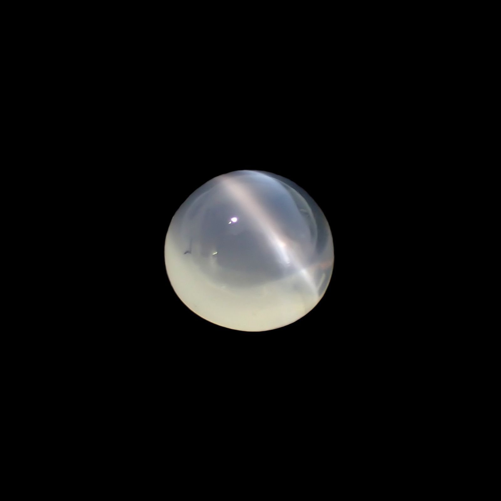 ムーンストーンキャッツアイ(宝石名ムーンストーン・キャッツアイ) インド産 識別済 5.13ct / 10x10mm前後 [260212732]