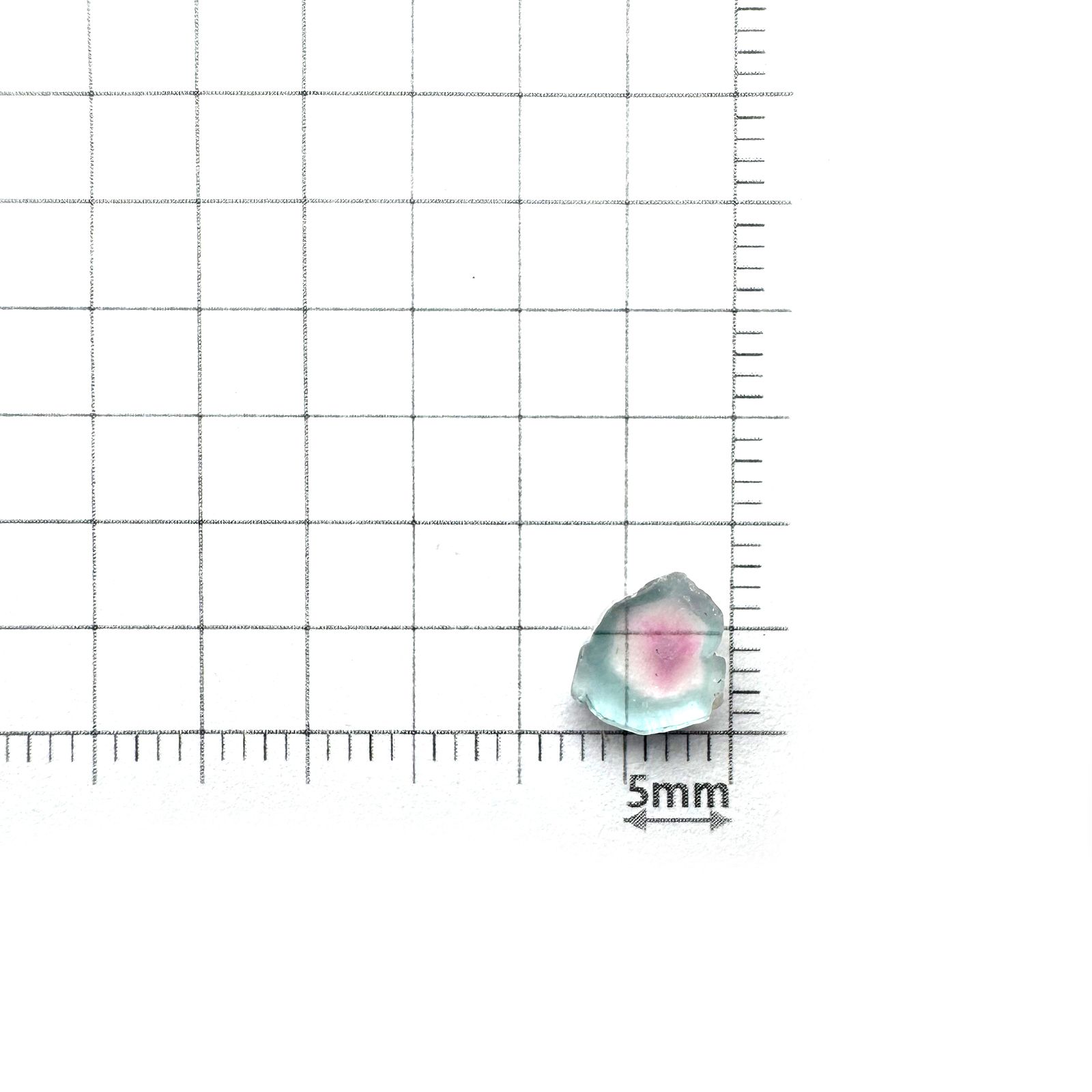 ウォーターメロントルマリン 原石スライス アフガニスタン産 1.65ct [250430216]7x6.9mm前後