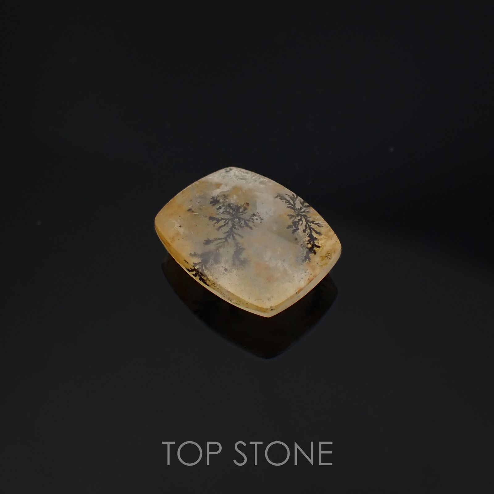 デンドリチッククォーツ ブラジル産 3.87ct[220616710]12.2x9.6mm前後