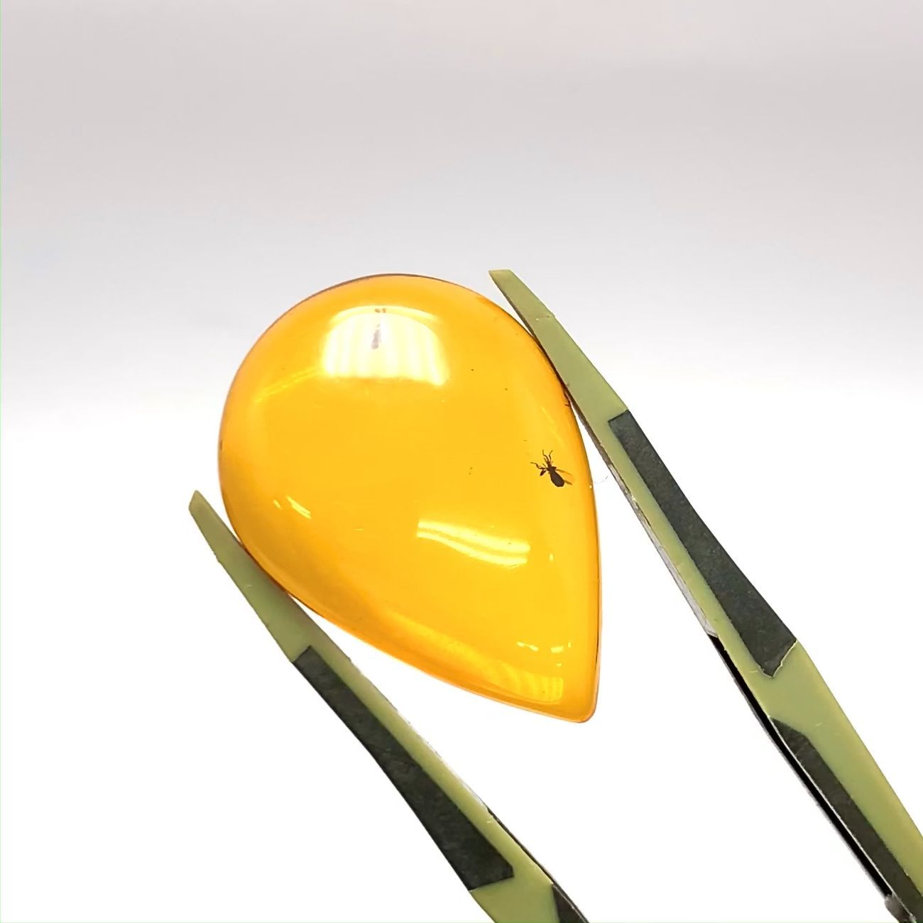 虫入り琥珀 コロンビア産 12.31ct / 29.3x20.5mm前後 [221018548