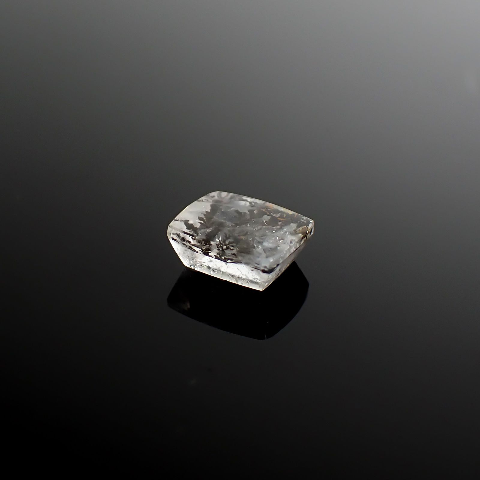 デンドリチッククォーツ ブラジル産 2.33ct / 8.9x7.5mm前後 [260832747]