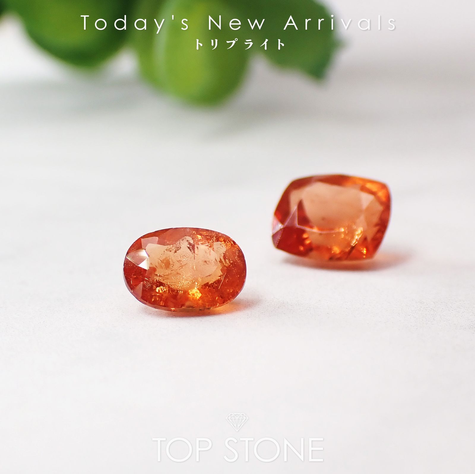 24 12月30日（月） 新着 | パライバトルマリン＆アパタイト | TOP