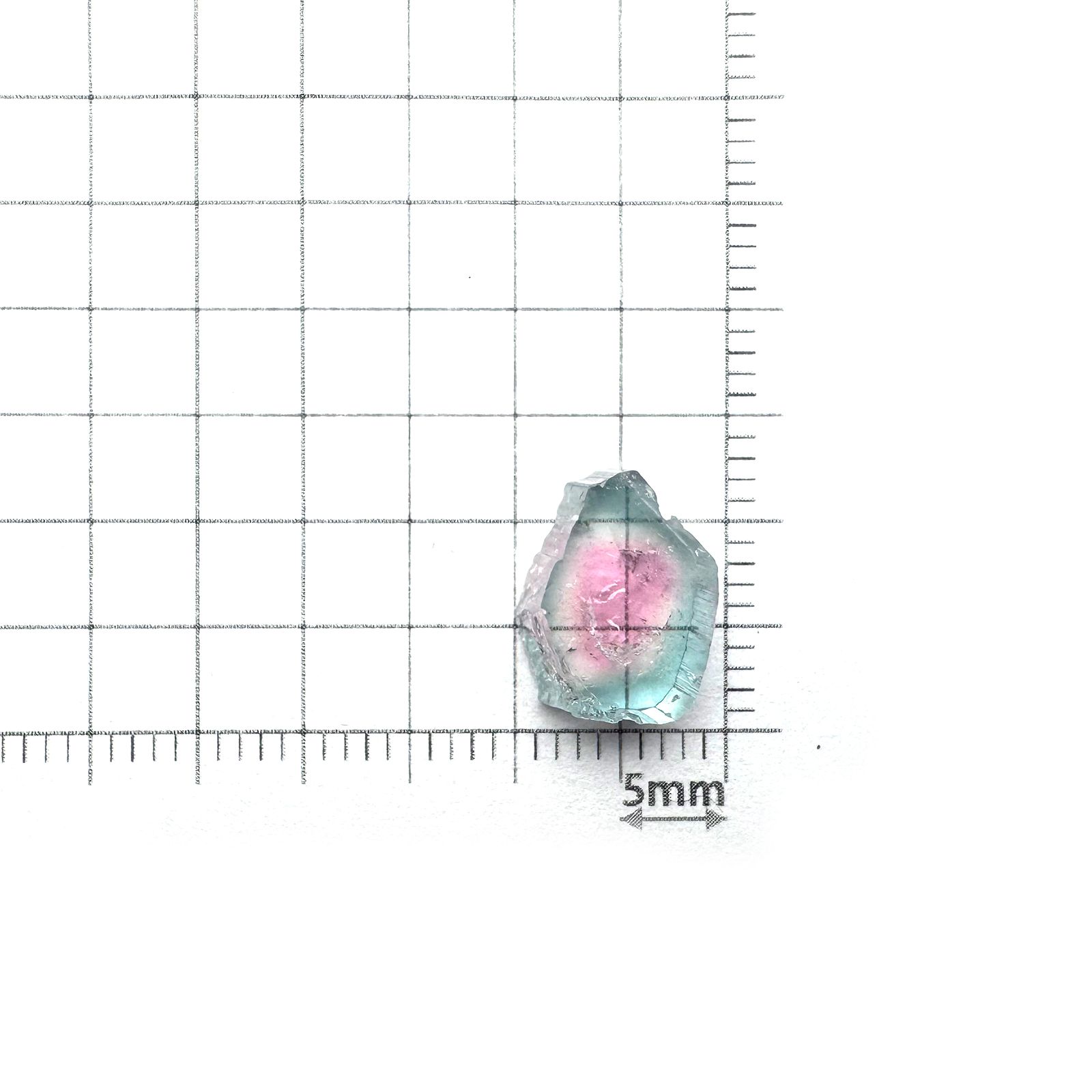ウォーターメロントルマリン 原石スライス アフガニスタン産 3.37ct [250430211]11.4x8.3mm前後