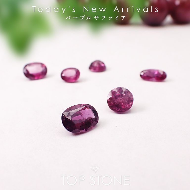 ’26 1月29日（木）新着 | パープルサファイア