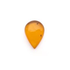 虫入り琥珀 コロンビア産 12.31ct [221018548]29.3x20.5mm前後