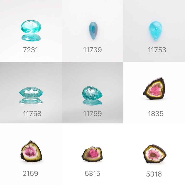 21/12/15 新発売！58アイテム