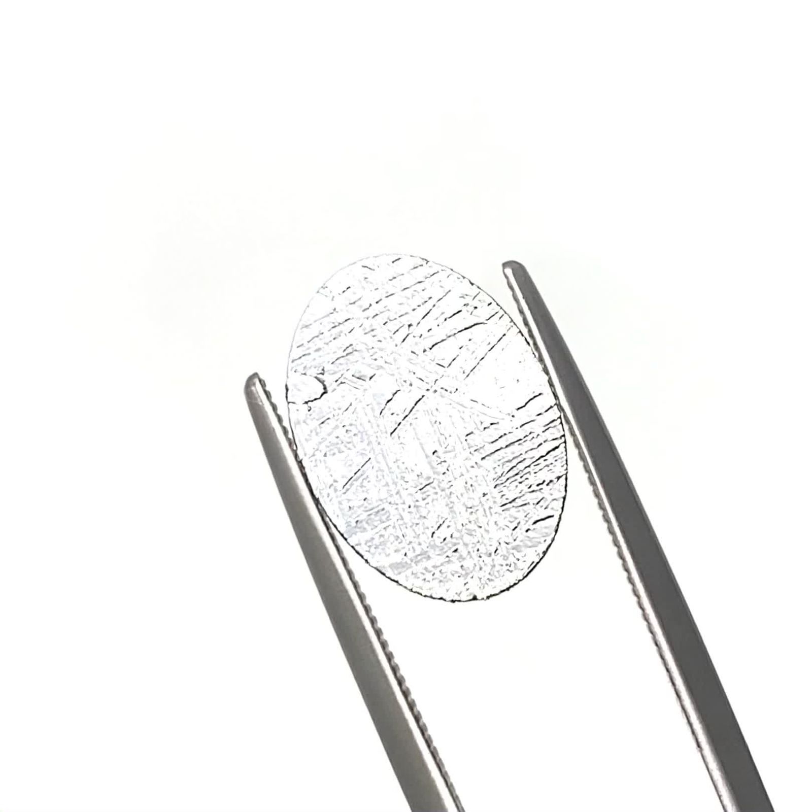 綾鷹　隕石　2点 アルタイ隕石 発見地:中国 2.10ct[240125696]13.8x9.9mm前後