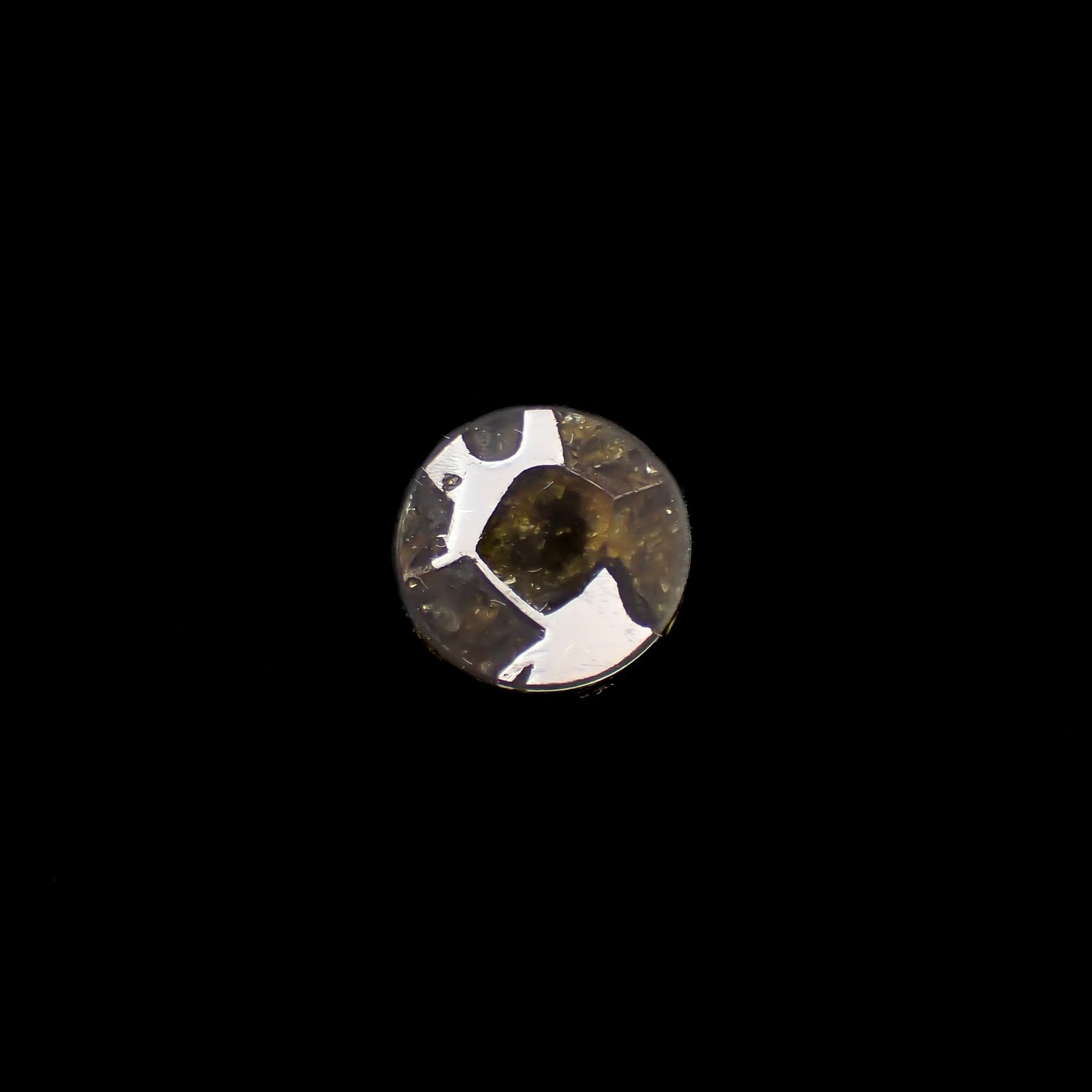 パラサイト隕石Sericho トリプレット 発見地:ケニア 4.07ct[240527644]11.9x11.9mm前後