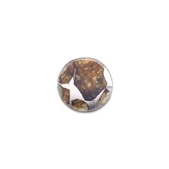 パラサイト隕石Sericho トリプレット 発見地：ケニア 3.62ct[220114152]12x12mm前後