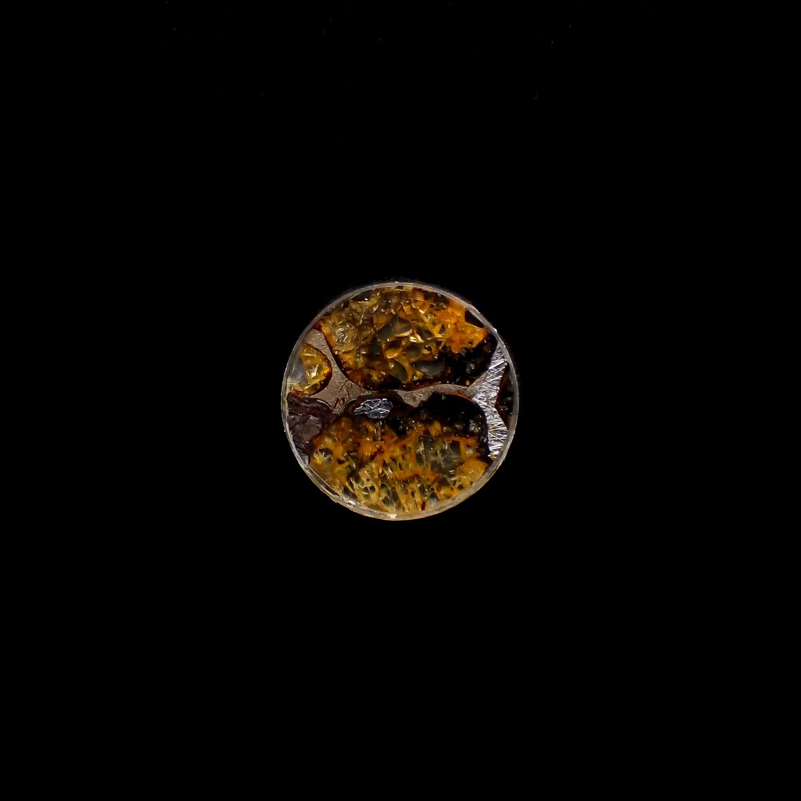 パラサイト隕石Sericho トリプレット 発見地：ケニア 3.04ct[231023670]12x12.1mm前後