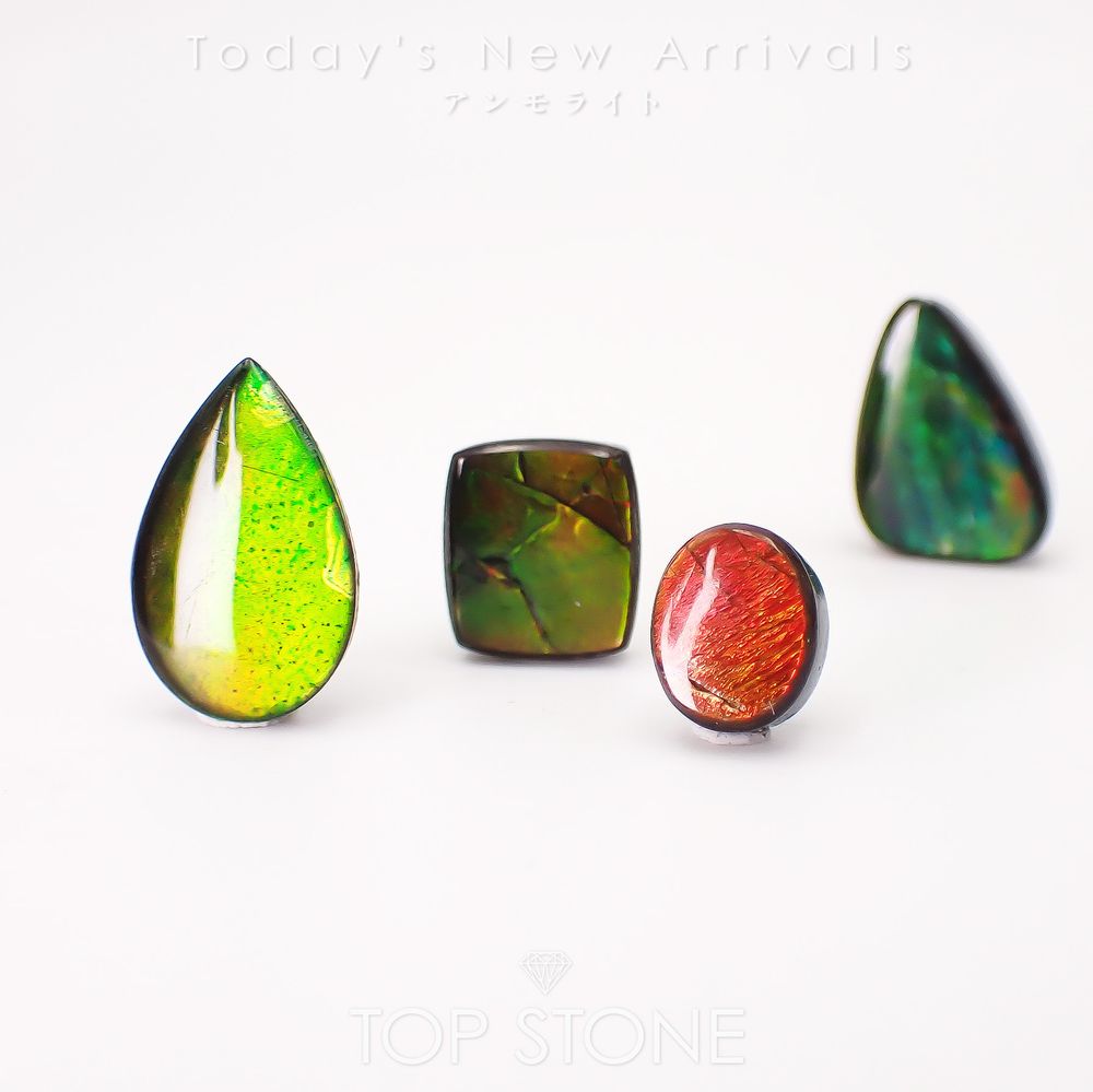 ’26 3月25日（水）新着 | アンモライト