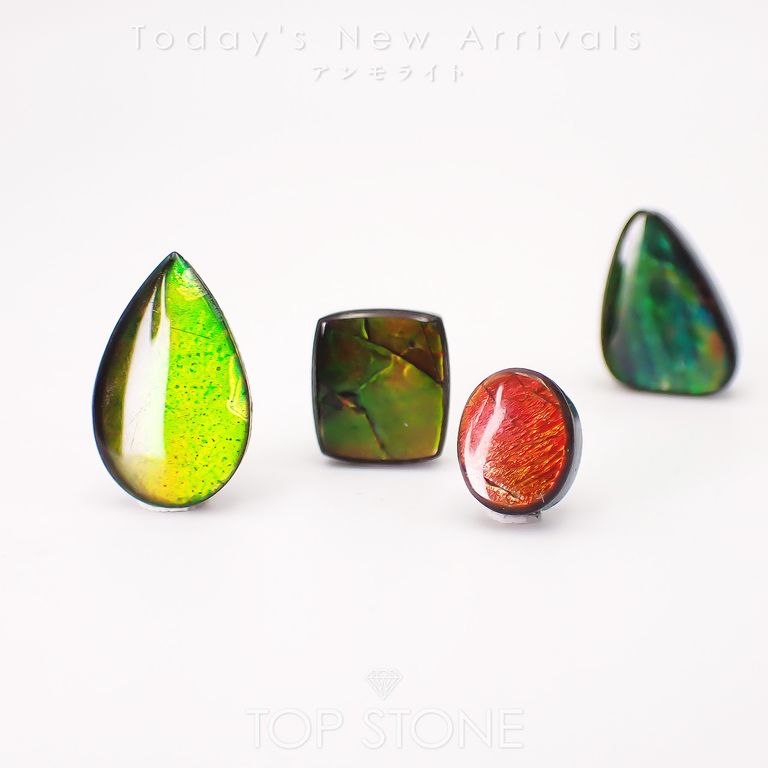 ’26 3月25日（水）新着 | アンモライト