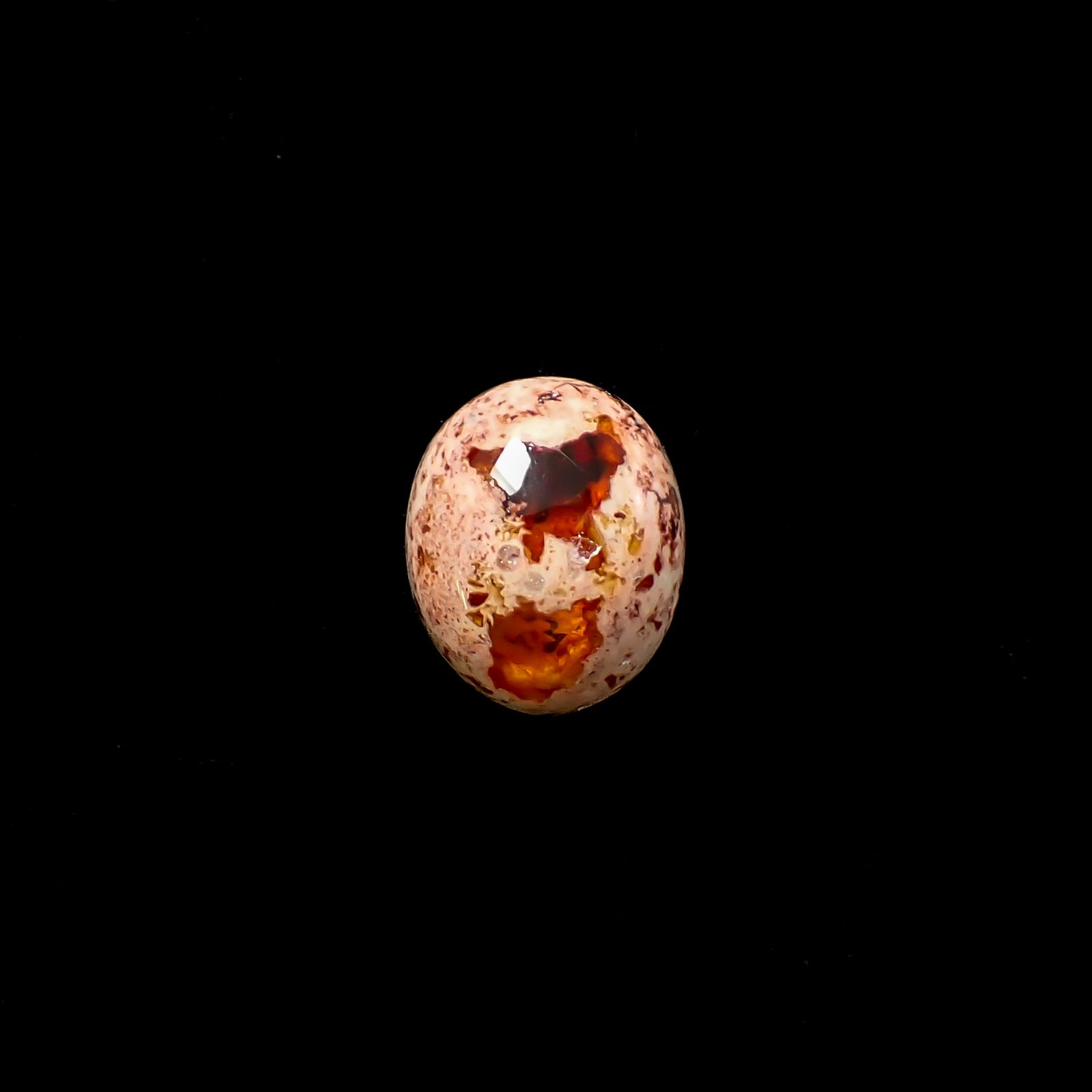 カンテラオパール メキシコ産 3.24ct / 11.5x9.5mm前後 [260933082]