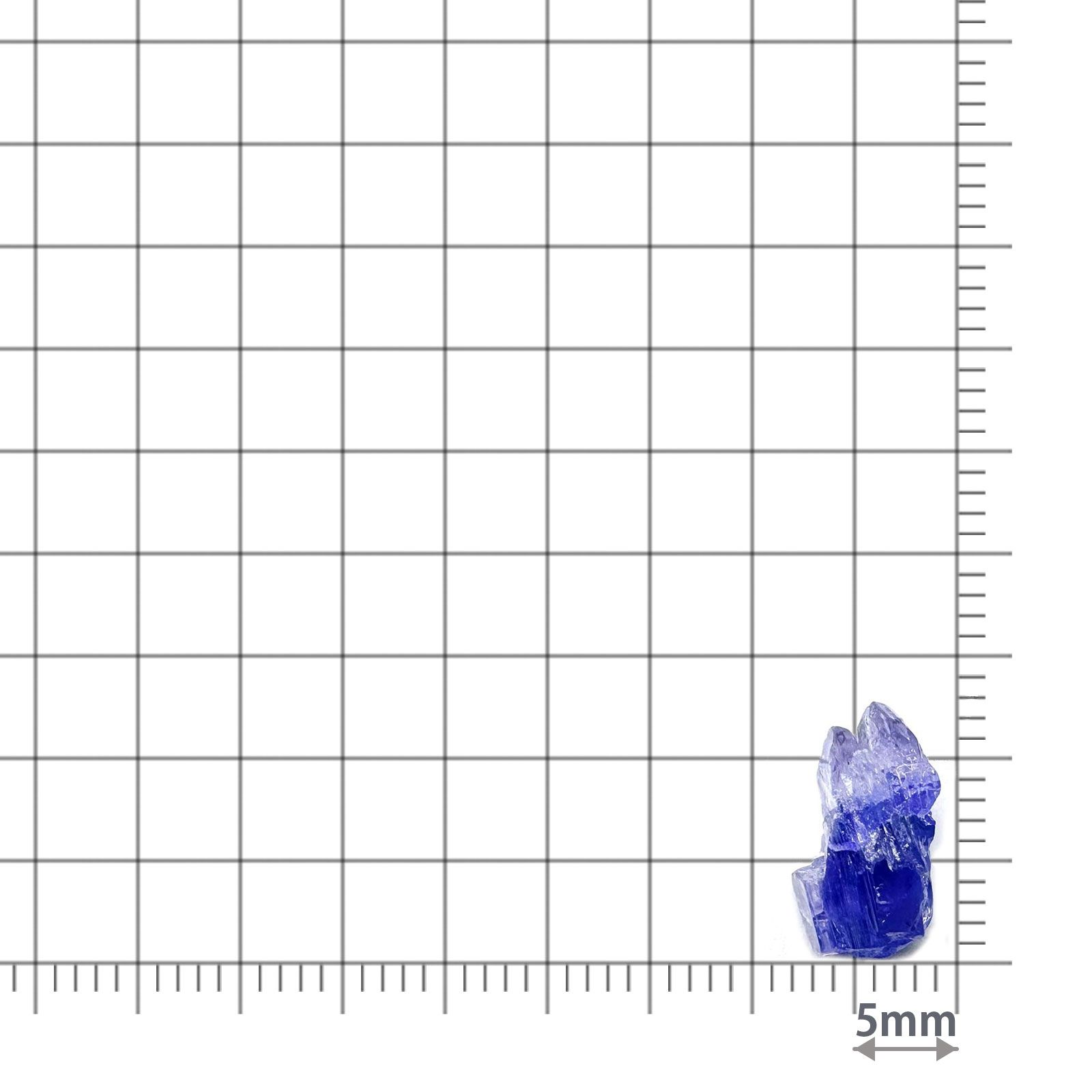 バイカラータンザナイト 原石 タンザニア産 3.31ct / 12.4x6.6mm前後 [260424988]