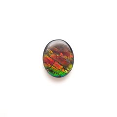 アンモライト トリプレット カナダ産 1.93ct[230823105]9.8x7.9mm前後