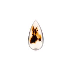 モンタナアゲート アメリカ・モンタナ州産 18.59ct / 35.9x17.9mm前後 [260832766]