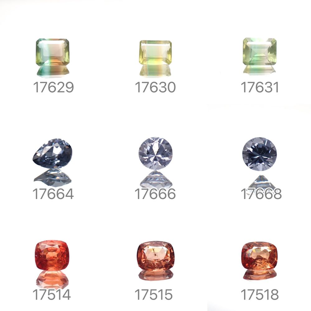 22/9/24 新発売！18アイテム