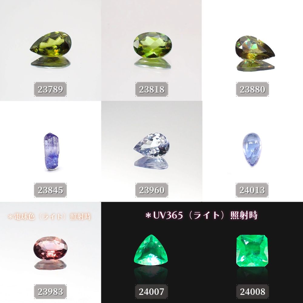 ’23 11月23日（木）新着18アイテム