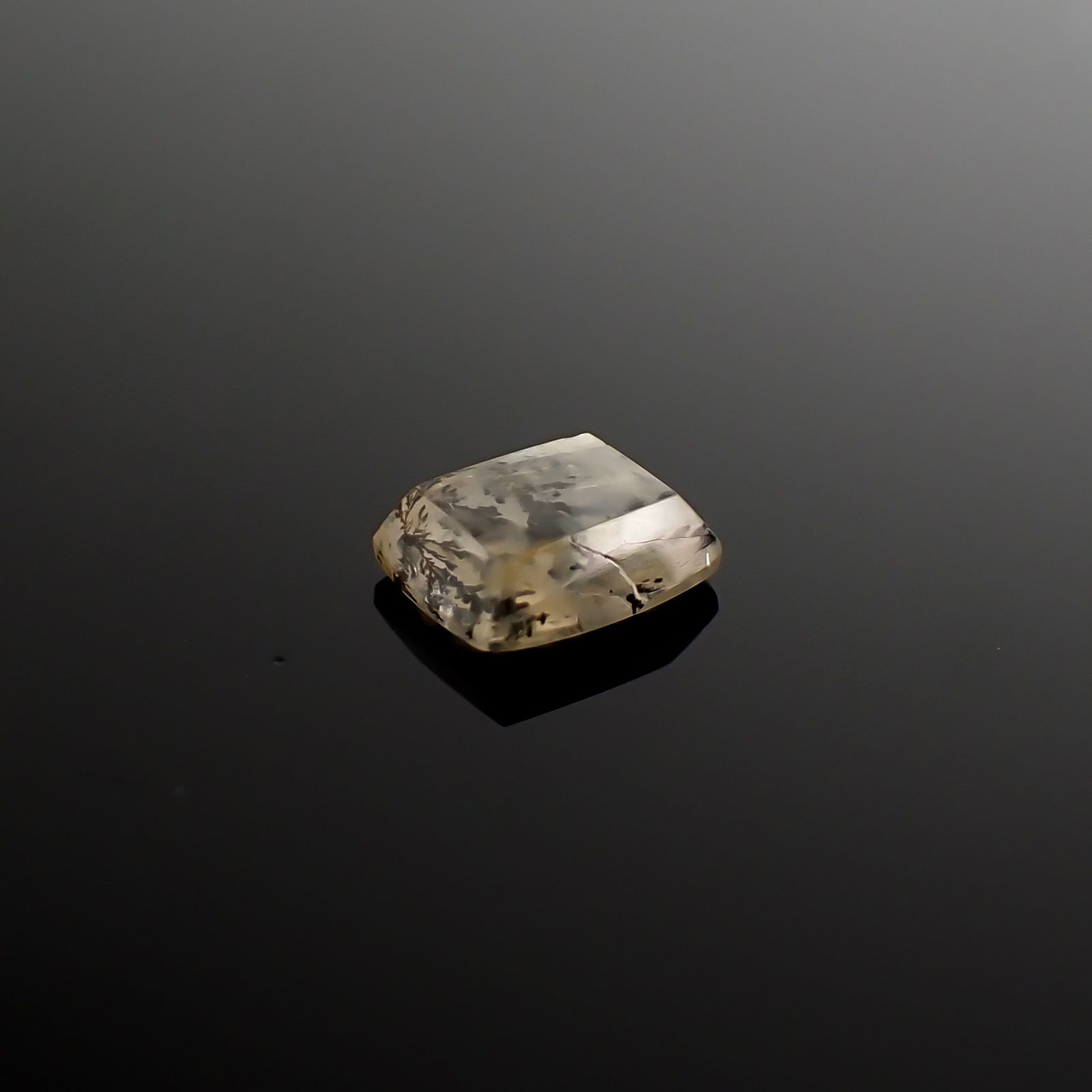 デンドリチッククォーツ ブラジル産 1.22ct / 7.7x6.1mm前後 [260832746]